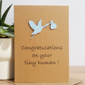 NEW BABY BOY CARD