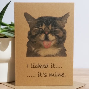 FUNNY CARD