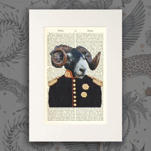 Scottish Ram Book Print