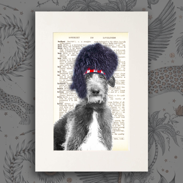 Bearskin Deerhound