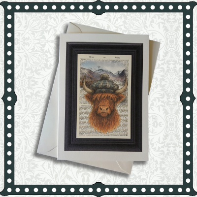 Highland Cow