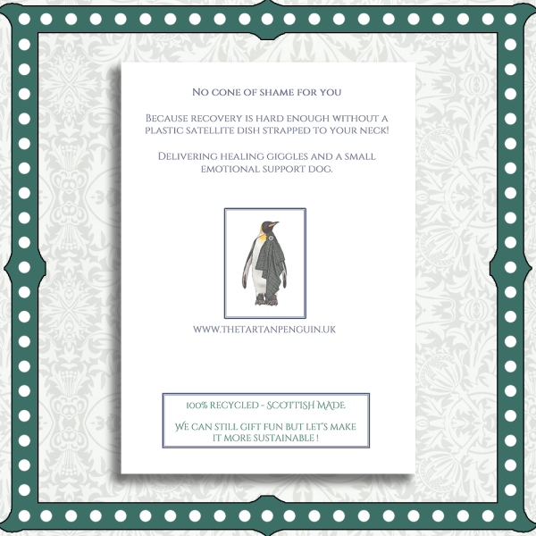 Cone Of Shame Gallery Cone Of Shame Gallery