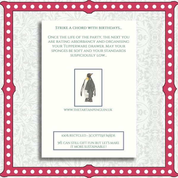 Dish Sponges Gallery Dish Sponges Gallery