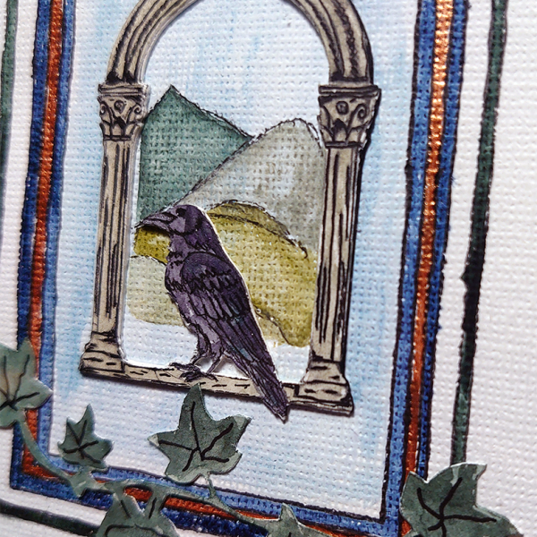 Crow Close Up Crow Close Up