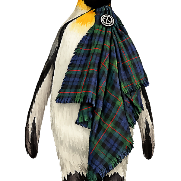 The Tartan Penguin Logo